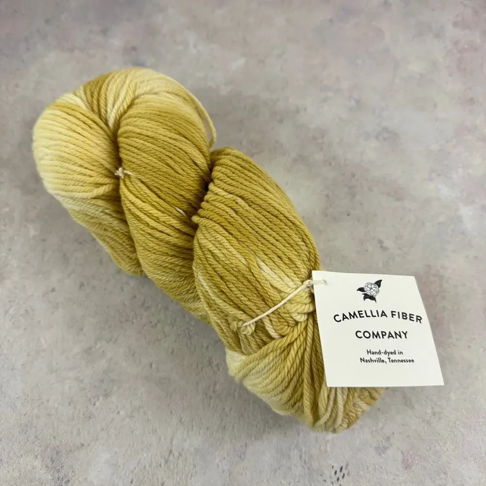 Camellia Fiber Co. Handmade Yarn Merino Worsted Weight Handspun Nashville